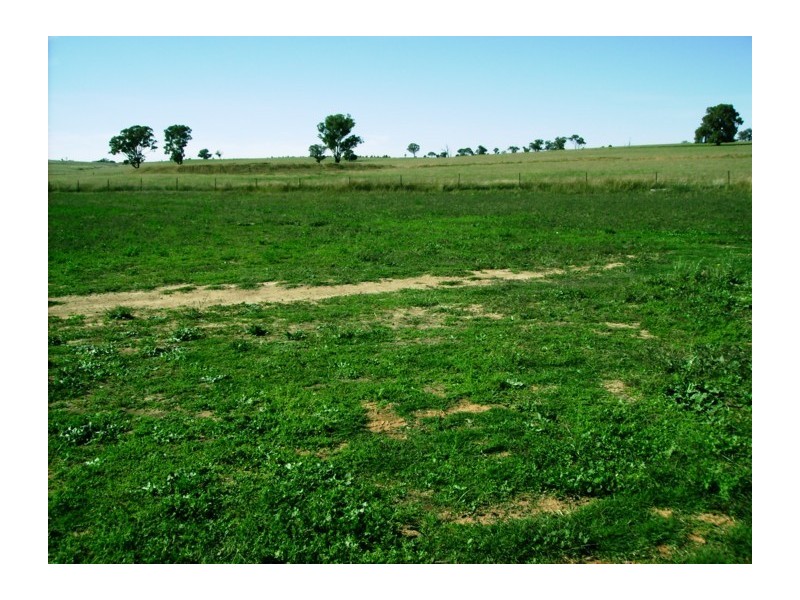 Mid Western Highway, Cowra NSW 2794