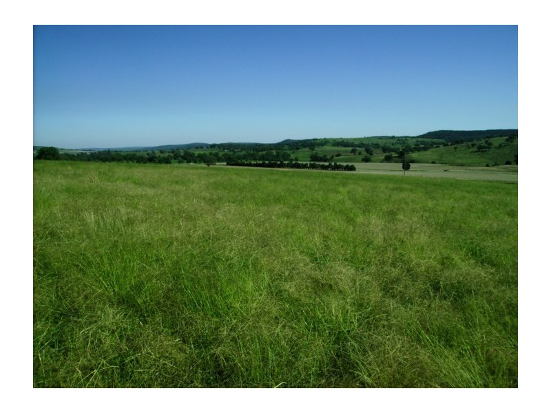 Mid Western Highway, Cowra NSW 2794