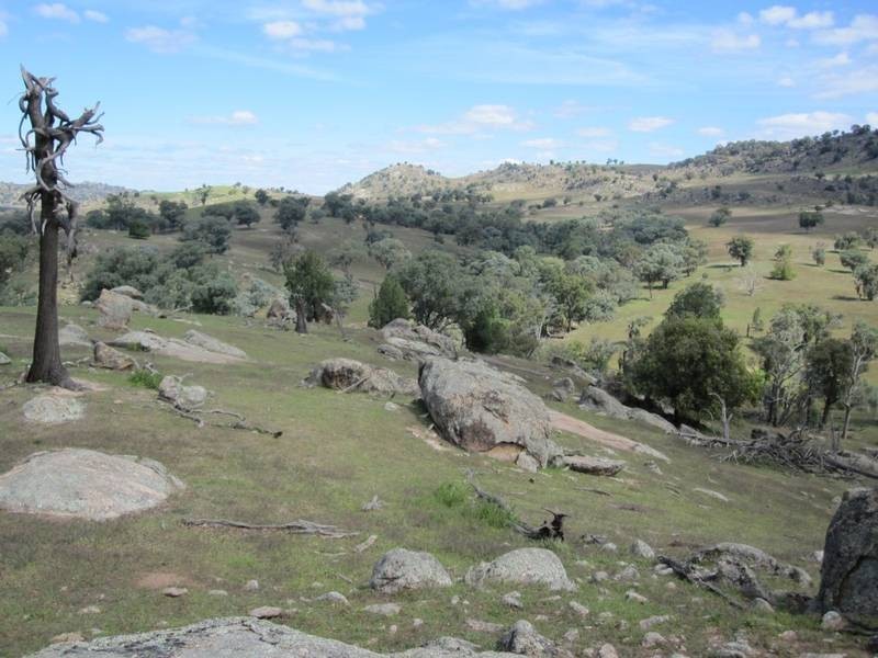 Lot 7, 3497 Frogmore Road, Hovells Creek NSW 2794