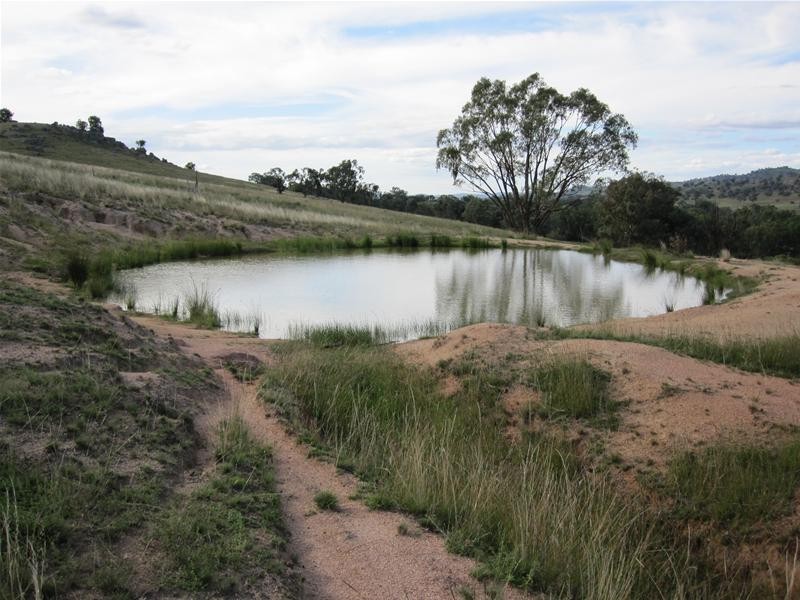 3411 Frogmore Road, Hovells Creek NSW 2794