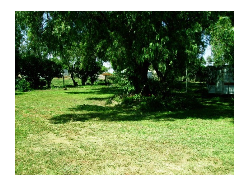 41 Carrington Street, Woodstock NSW 2793