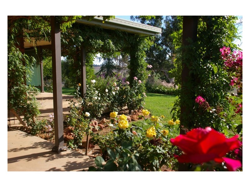 107 Dorset Lane, Cowra NSW 2794