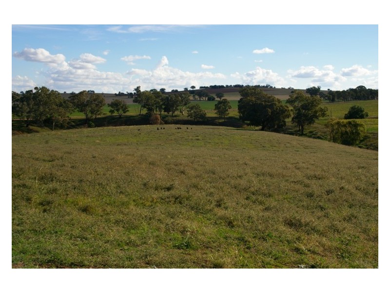 107 Dorset Lane, Cowra NSW 2794