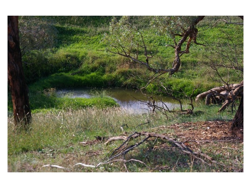 107 Dorset Lane, Cowra NSW 2794