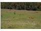 152 Clearview Road, Darbys Falls NSW 2793