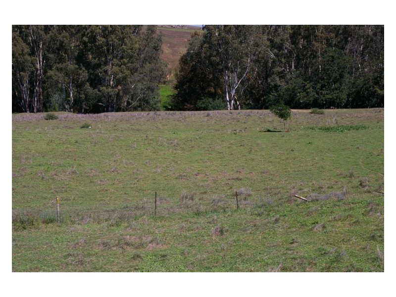 152 Clearview Road, Darbys Falls NSW 2793