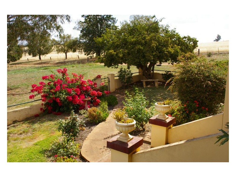 565 Elouera Rd, Cowra NSW 2794