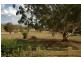 565 Elouera Rd, Cowra NSW 2794