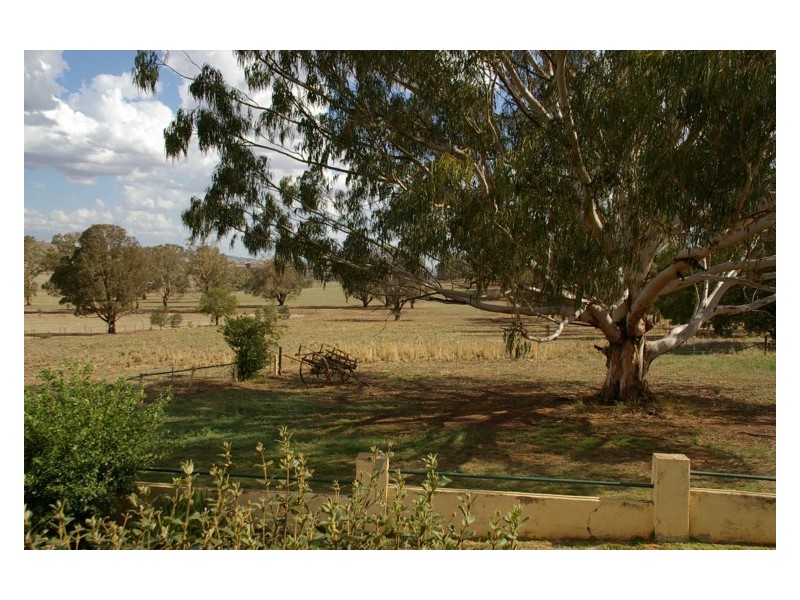 565 Elouera Rd, Cowra NSW 2794