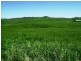 Lot 27,  Pride of Oak Road, Canowindra NSW 2804
