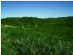 Lot 27,  Pride of Oak Road, Canowindra NSW 2804