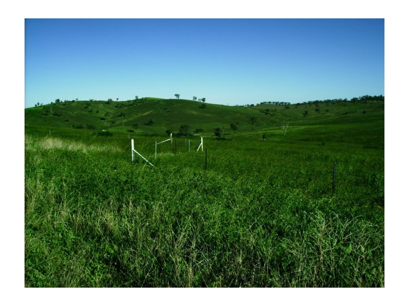 Lot 27,  Pride of Oak Road, Canowindra NSW 2804