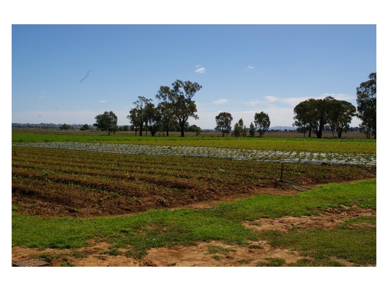 1826 North Logan Road, Cowra NSW 2794