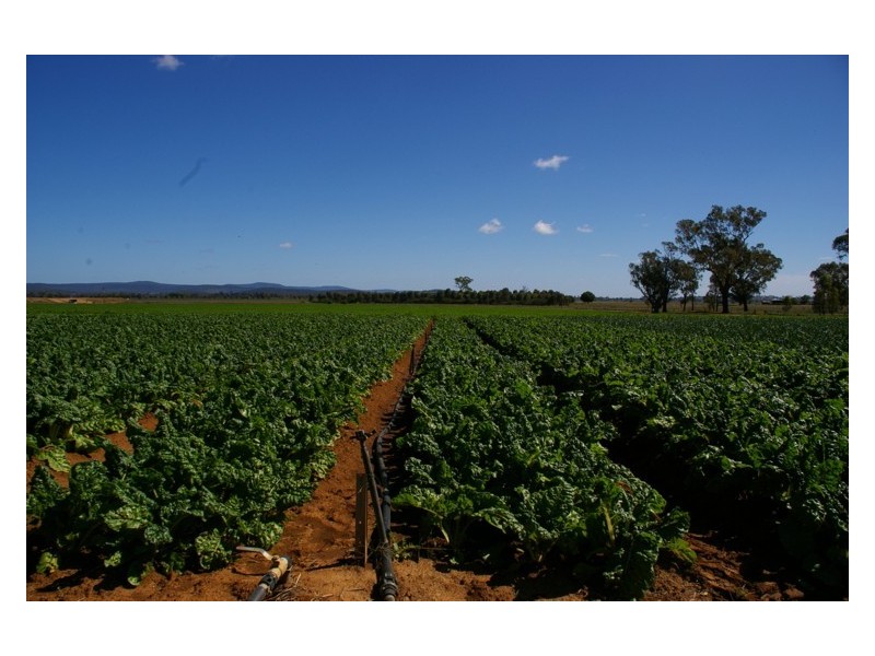 1826 North Logan Road, Cowra NSW 2794