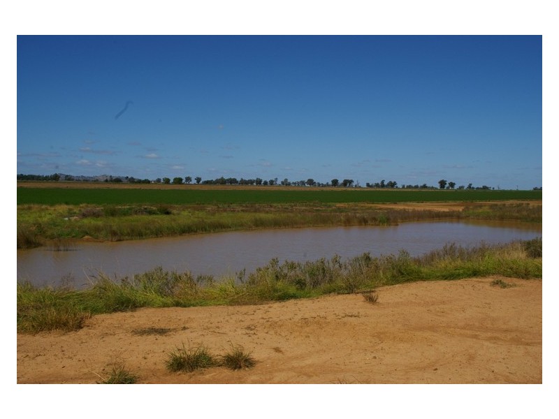 1826 North Logan Road, Cowra NSW 2794