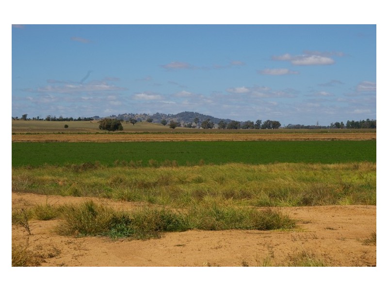 1826 North Logan Road, Cowra NSW 2794