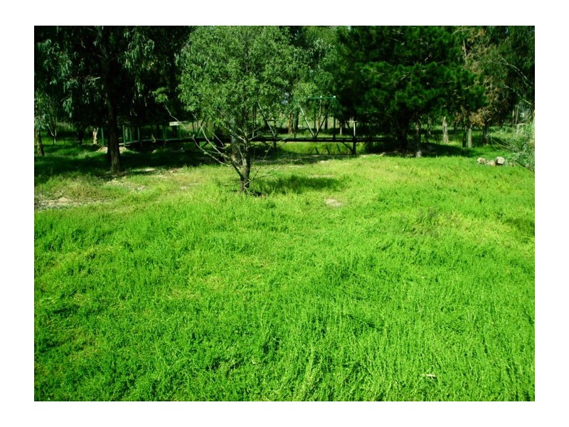 Lot 1, Lot 1 Brundah Road, Greenethorpe NSW 2809