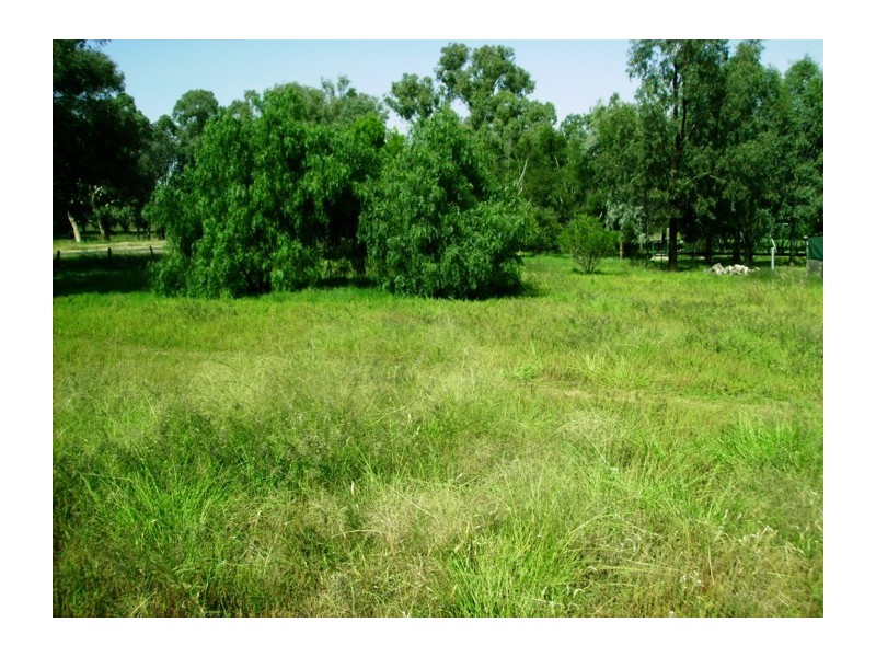 Lot 1, Lot 1 Brundah Road, Greenethorpe NSW 2809