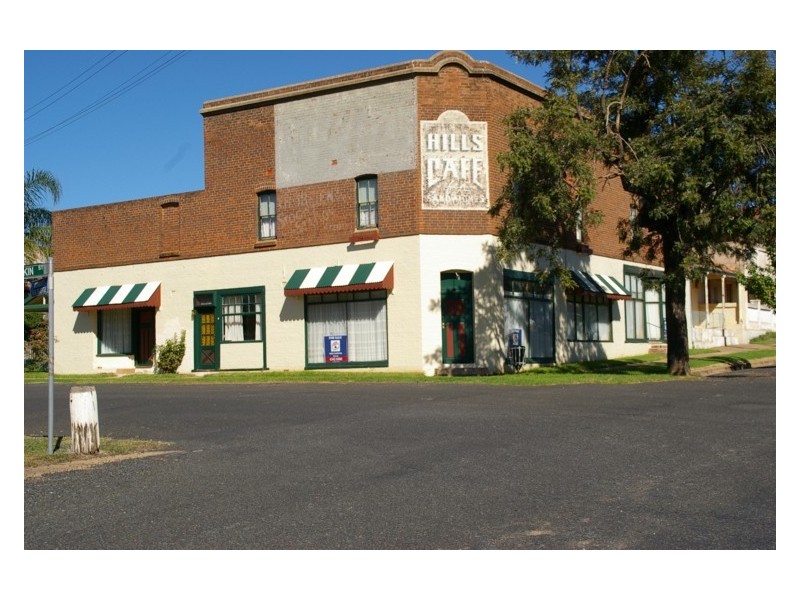 29 Parkes Street, Woodstock NSW 2793