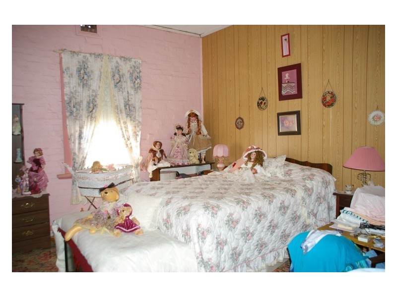 29 Parkes Street, Woodstock NSW 2793