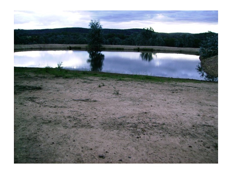 384A Fragar Road, Cowra NSW 2794