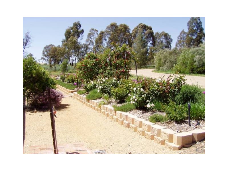 25 Camp Lane, Cowra NSW 2794