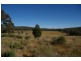 1297 Kemps Road, Cowra NSW 2794