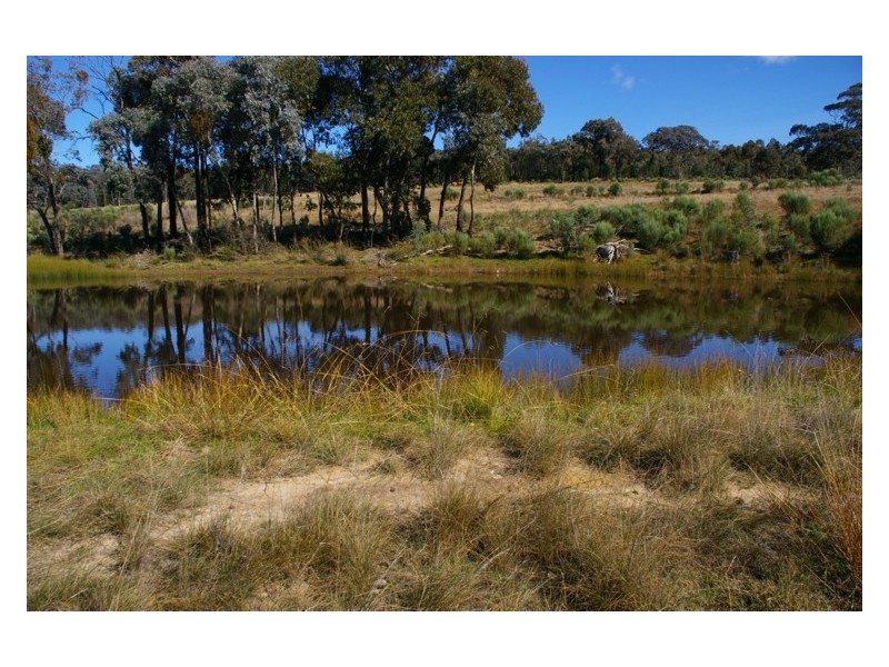 1297 Kemps Road, Cowra NSW 2794