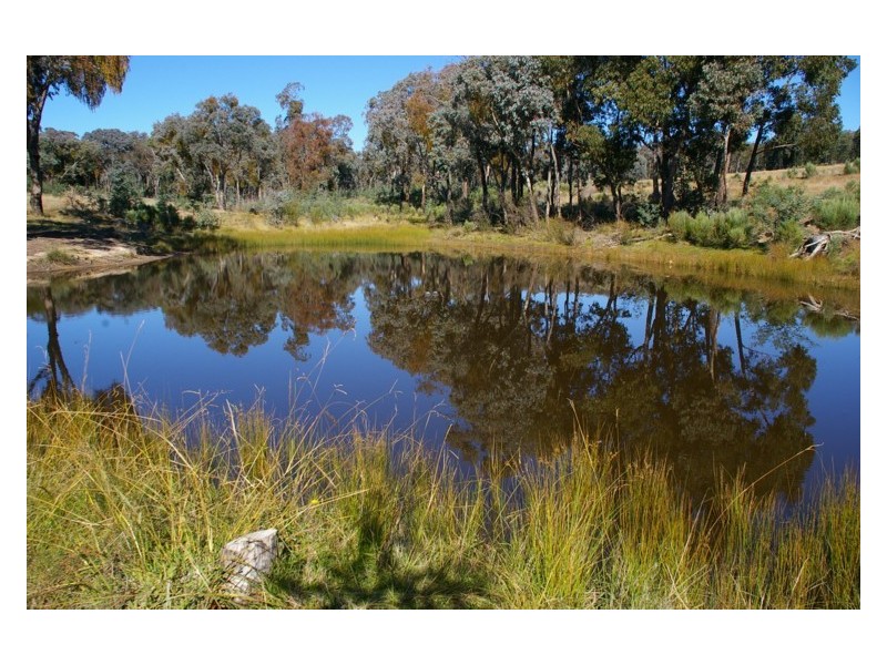 1297 Kemps Road, Cowra NSW 2794