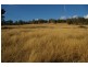 293 Horton Drive, Woodstock NSW 2793