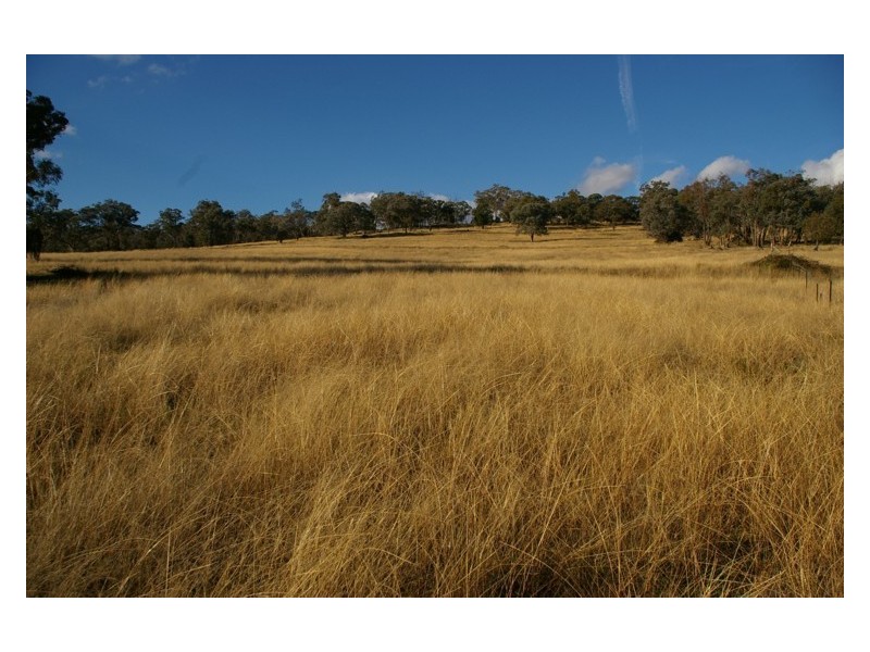293 Horton Drive, Woodstock NSW 2793