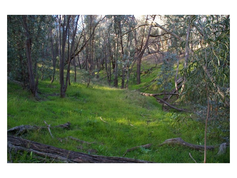 293 Horton Drive, Woodstock NSW 2793