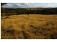 293 Horton Drive, Woodstock NSW 2793