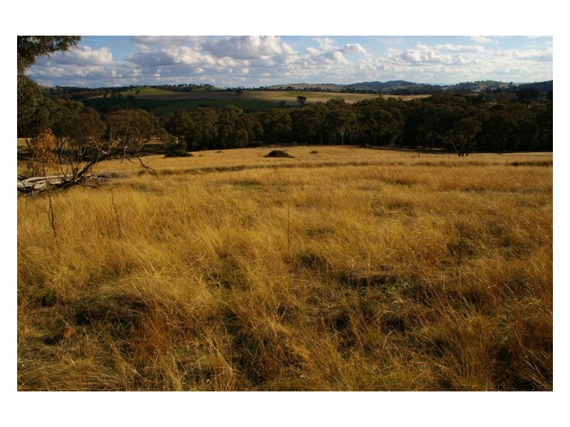 293 Horton Drive, Woodstock NSW 2793