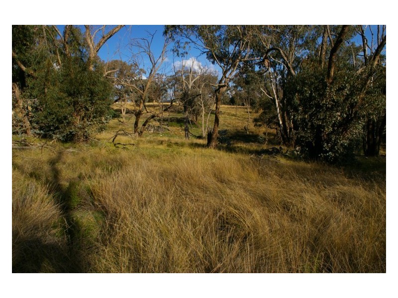 293 Horton Drive, Woodstock NSW 2793