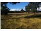 293 Horton Drive, Woodstock NSW 2793