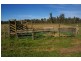 171A Cultowa Lane, Billimari NSW 2804