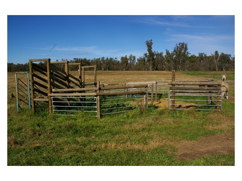 171A Cultowa Lane, Billimari NSW 2804