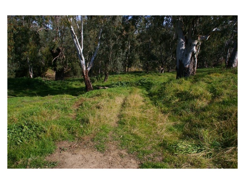 171A Cultowa Lane, Billimari NSW 2804