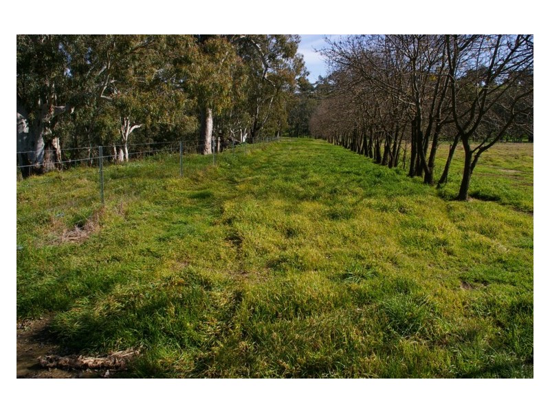 171A Cultowa Lane, Billimari NSW 2804