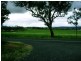 499 Wirrimah Road, Wirrimah NSW 2803
