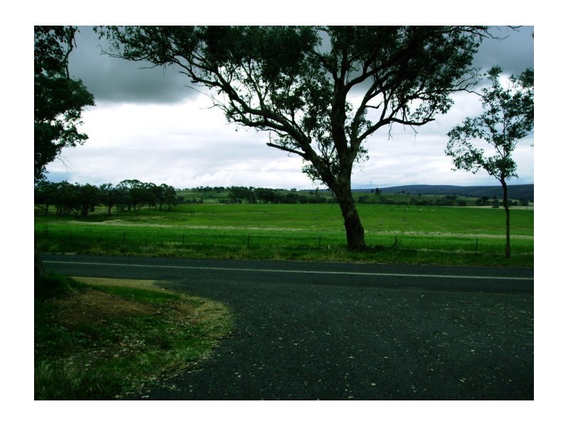499 Wirrimah Road, Wirrimah NSW 2803