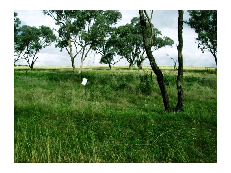 Lot 1-9,  Wirrimah Road, Wirrimah NSW 2803