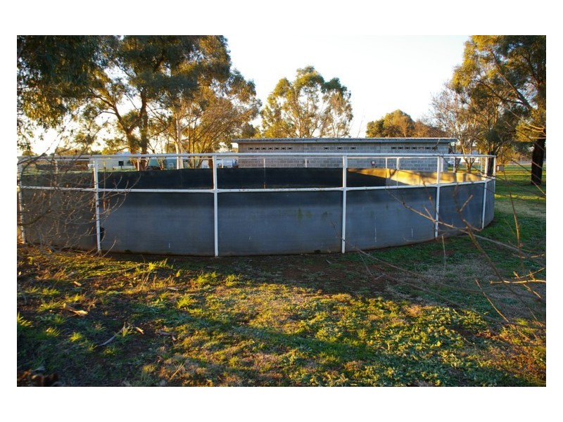 Lot 203,  Bulkhead Road, Cowra NSW 2794