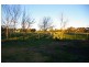 Lot 203,  Bulkhead Road, Cowra NSW 2794