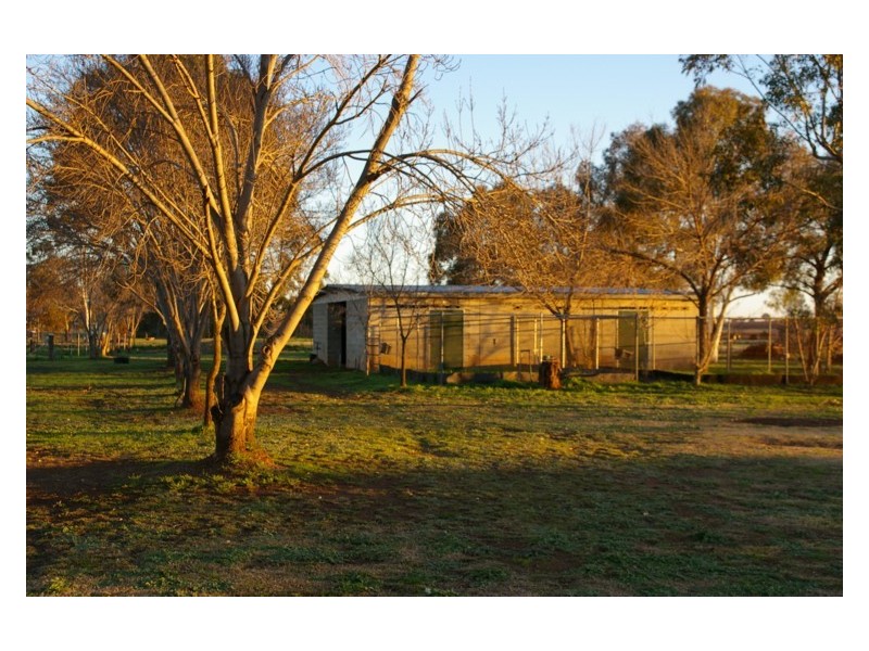Lot 203,  Bulkhead Road, Cowra NSW 2794