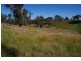 170 Cultowa Lane, Billimari NSW 2804