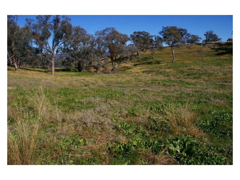 170 Cultowa Lane, Billimari NSW 2804