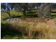 170 Cultowa Lane, Billimari NSW 2804