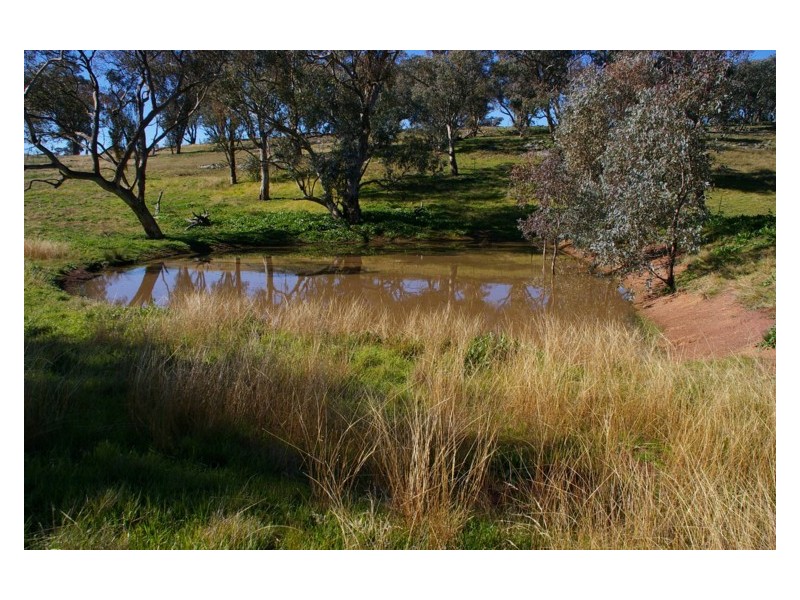 170 Cultowa Lane, Billimari NSW 2804